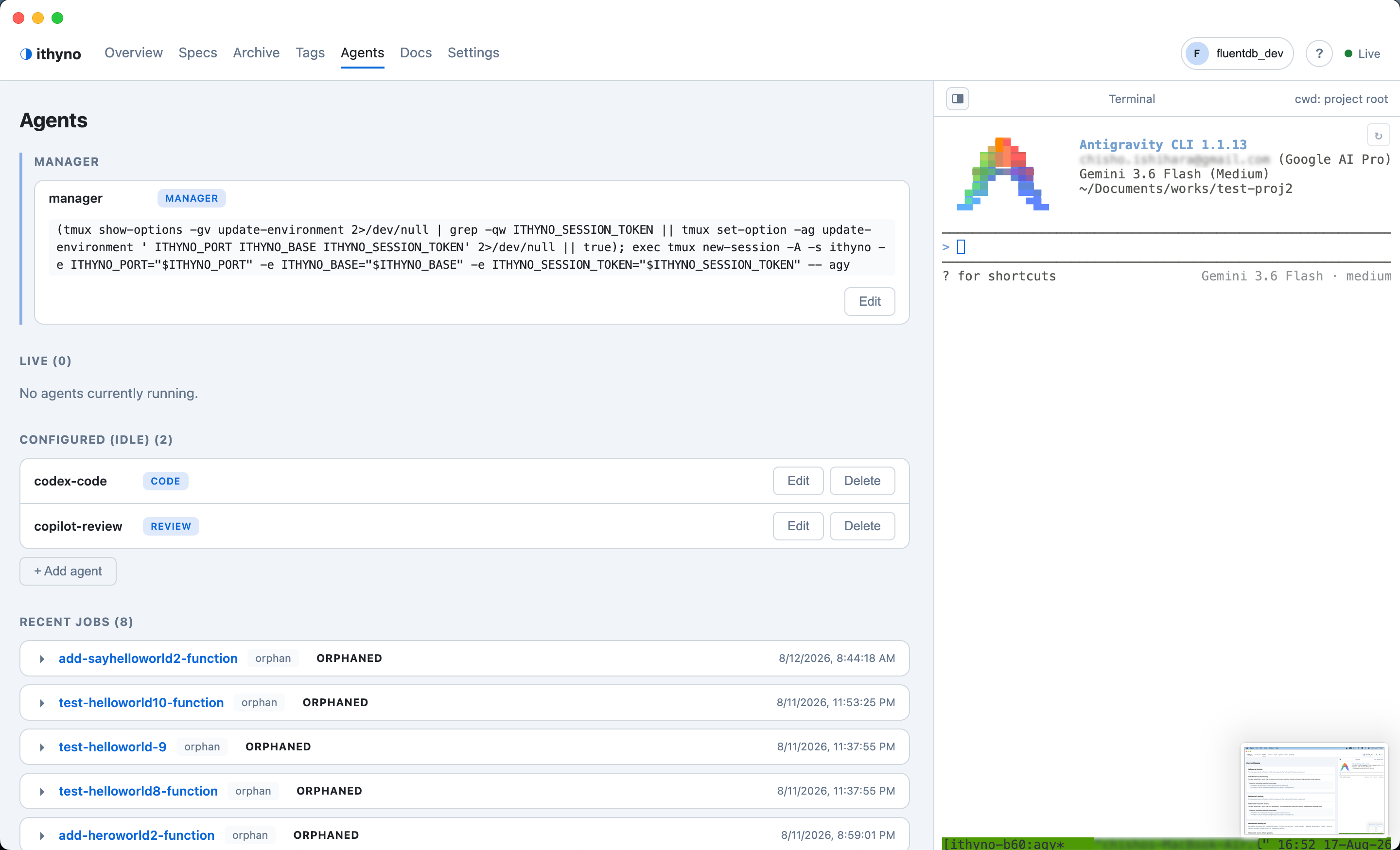 The expanded Manager entry shows its resolved launch command while the Manager terminal is running.